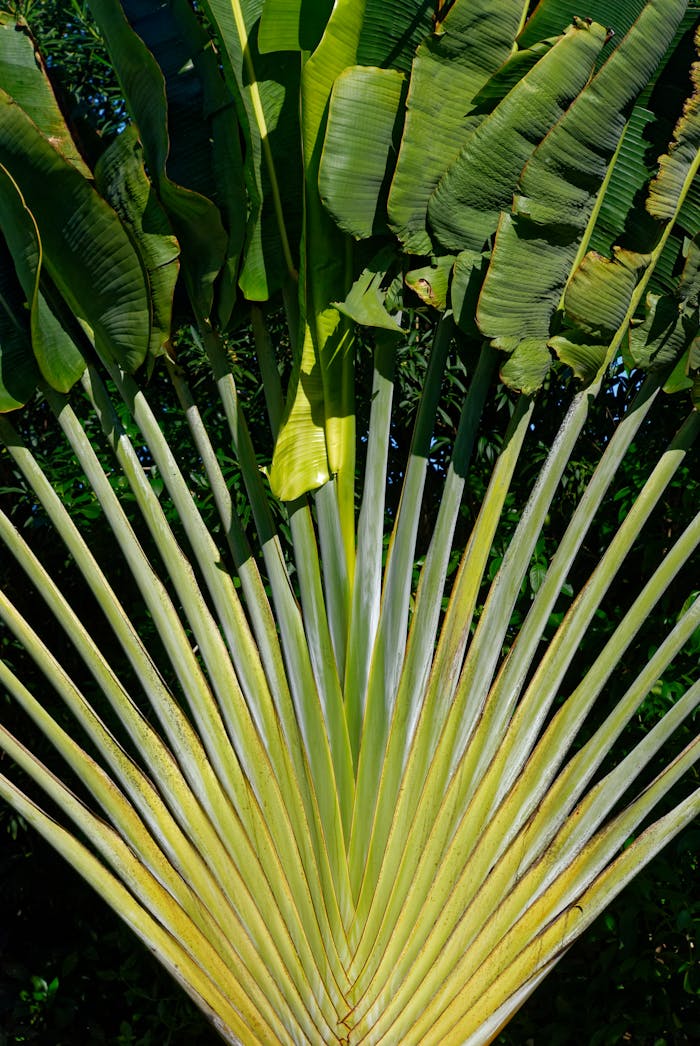 pexels photo 35553095.jpeg