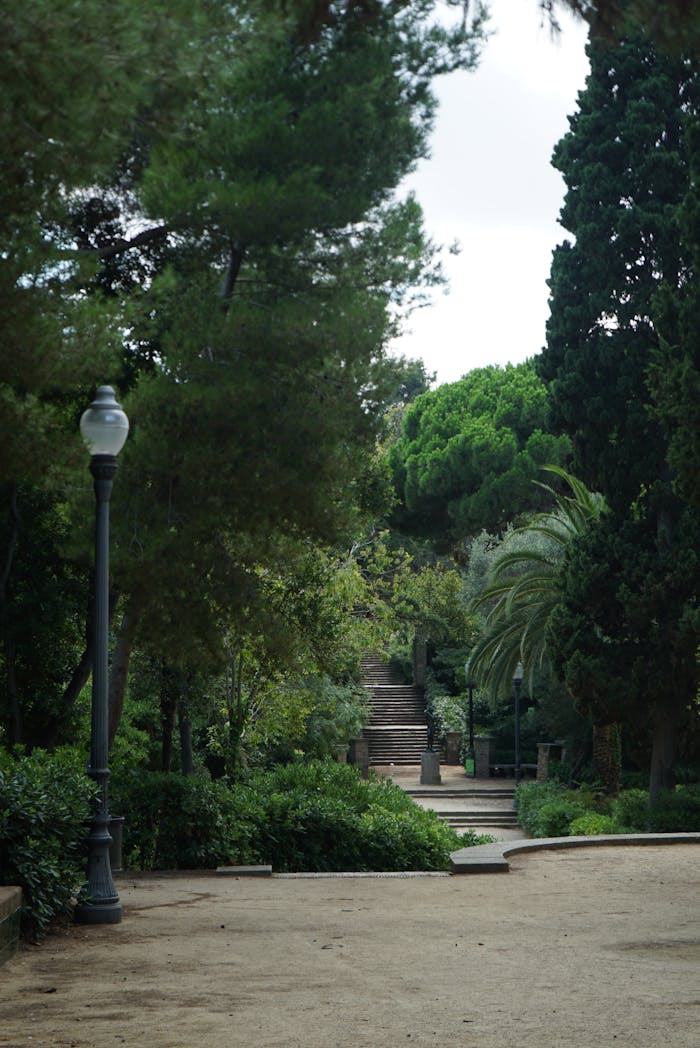 A tranquil view of a lush green pathway with stairs in a park in Barcelona, perfect for peaceful walks.