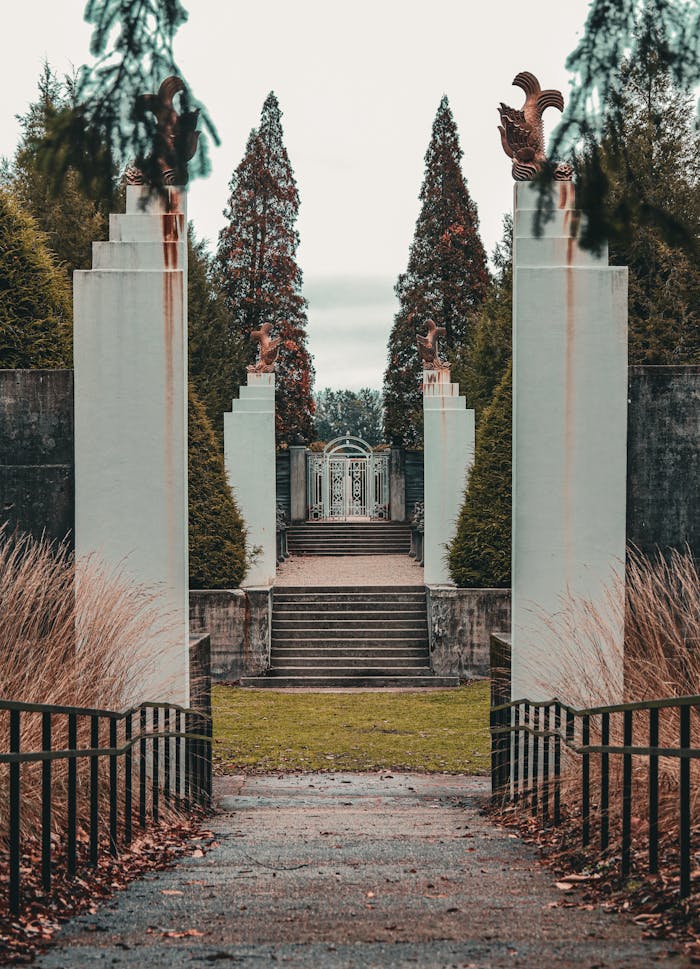 pexels photo 35600174.jpeg